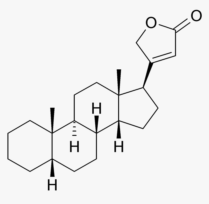 Cardenolide - Cardenolide Structure, HD Png Download