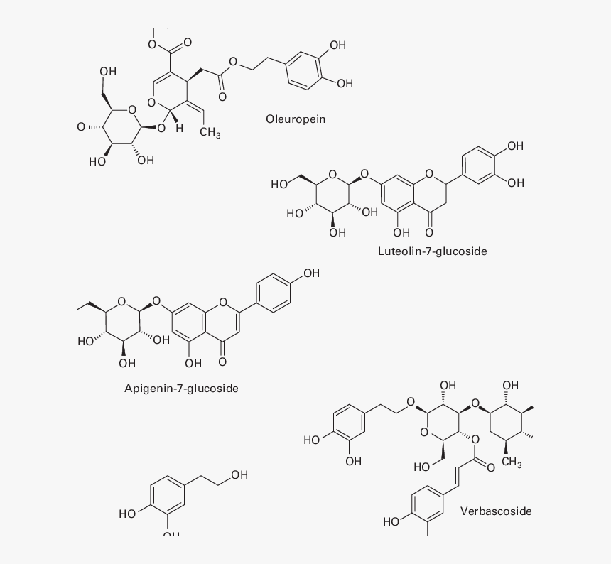 Plant Molecules, HD Png Download