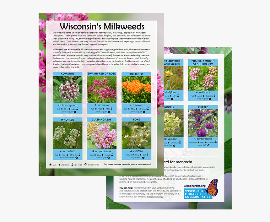 Brochure, HD Png Download