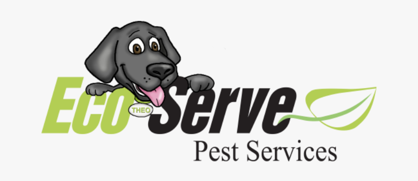 Eco Serve Pest Services - One Direction Quotes, HD Png Download