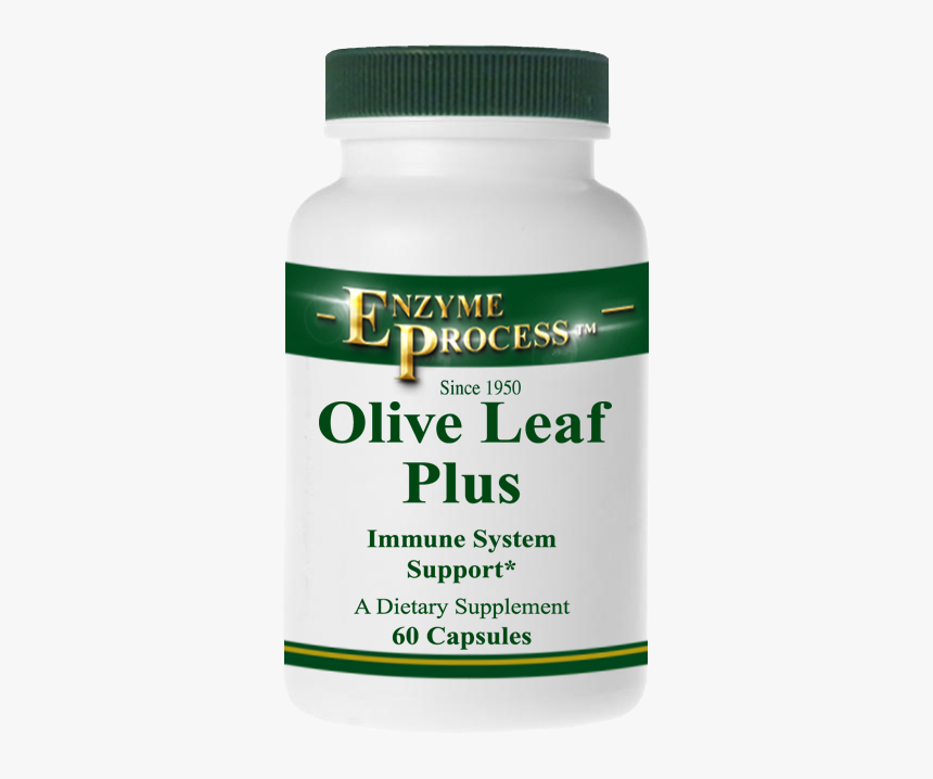 Olive Leaf Plus 60 Capsules - Olive Leaf, HD Png Download