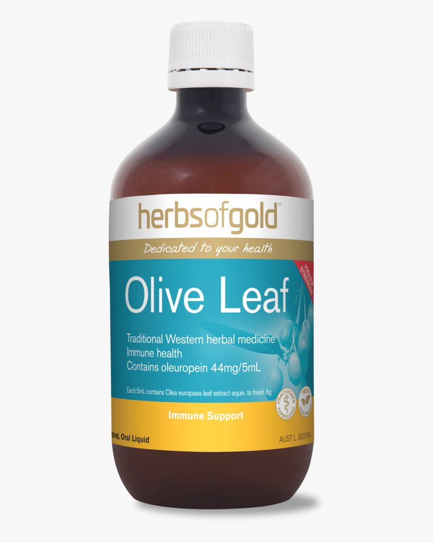 Olive Leaf - Natural Foods, HD Png Download
