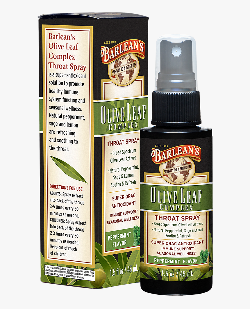 Olive Leaf Png, Transparent Png