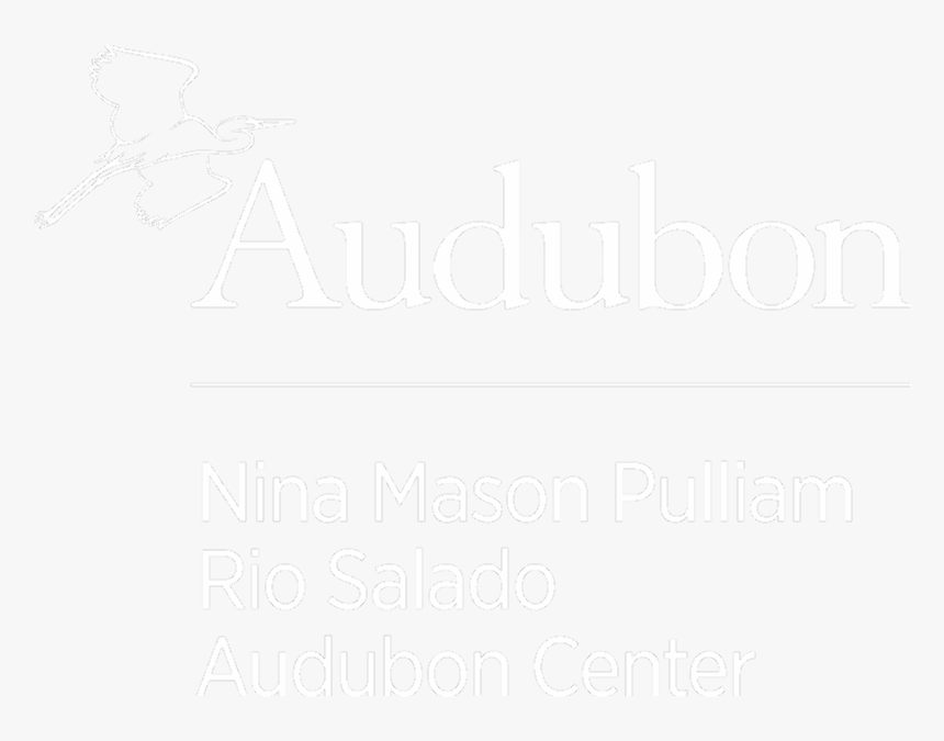 Line Art, HD Png Download