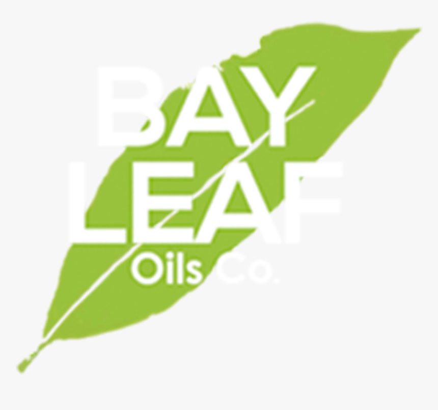 Olive Leaf - Illustration, HD Png Download