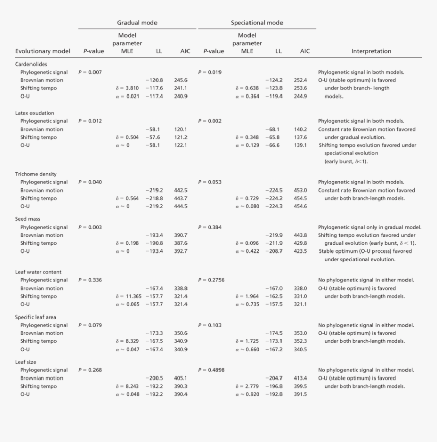 Document, HD Png Download