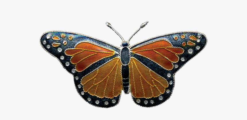 Monarch-pin, HD Png Download