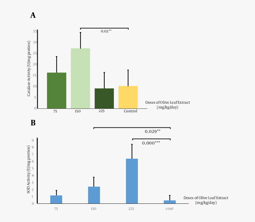 Diagram, HD Png Download
