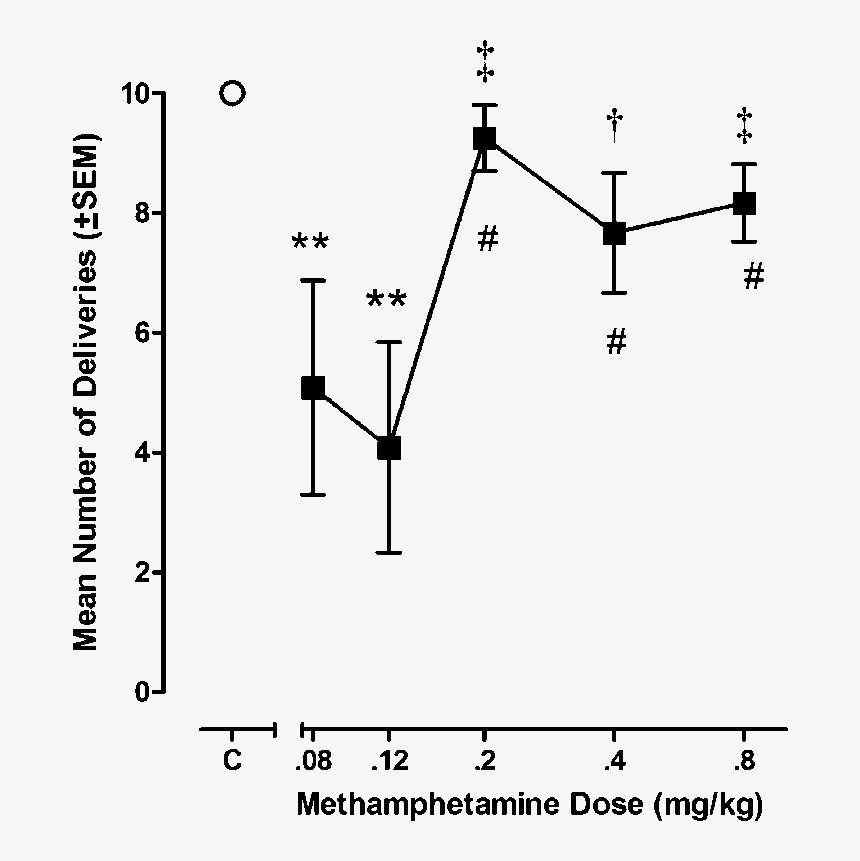 Diagram, HD Png Download