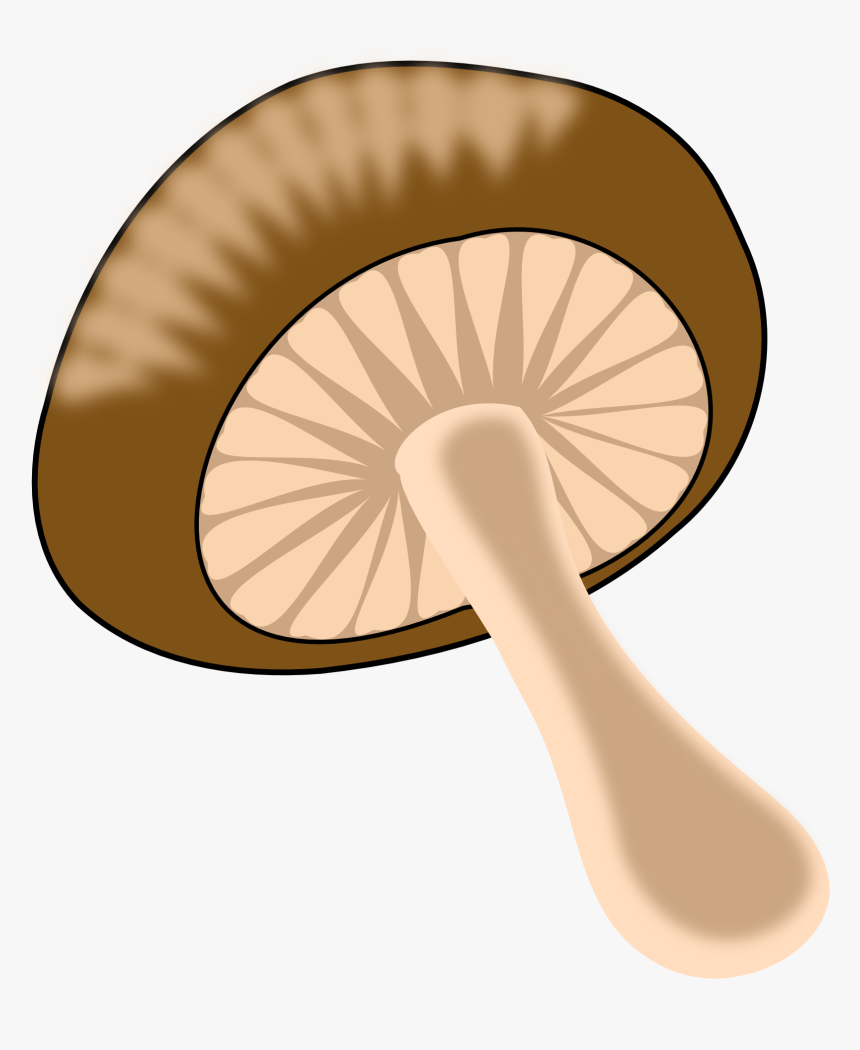 Beige,edible Mushroom,mushroom - Food Mushroom Clipart Png, Transparent Png