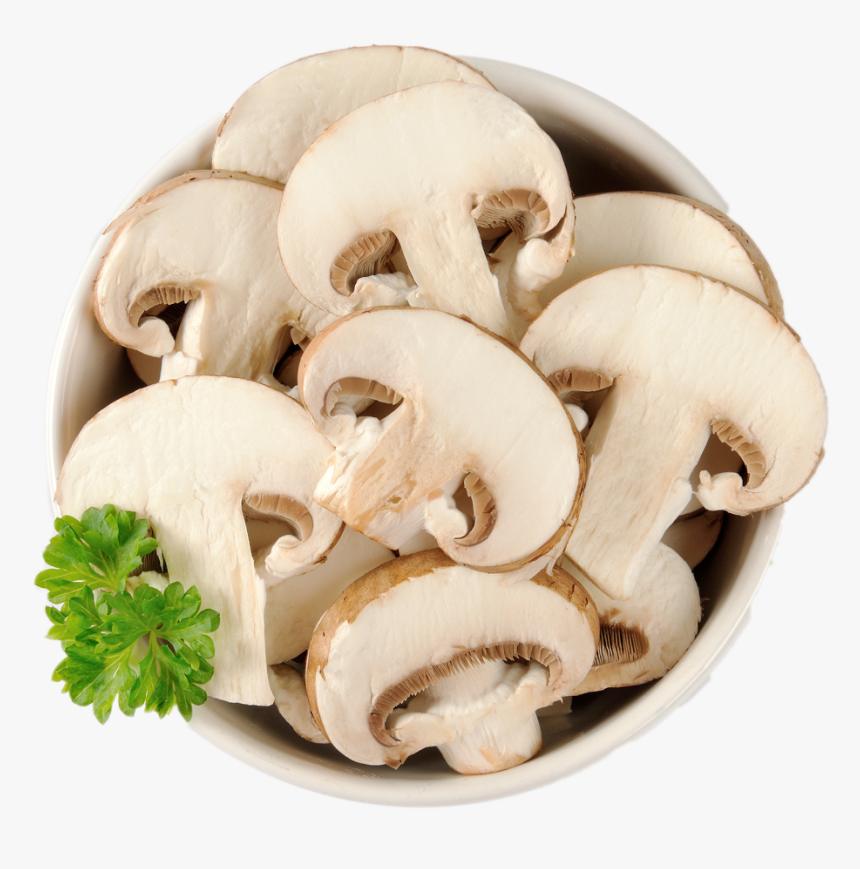 Trading Complete List Zac - Transparent Background Mushroom Clip Art, HD Png Download