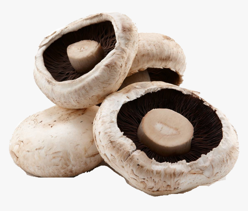 Mushroom Png Image File - Shiitake, Transparent Png