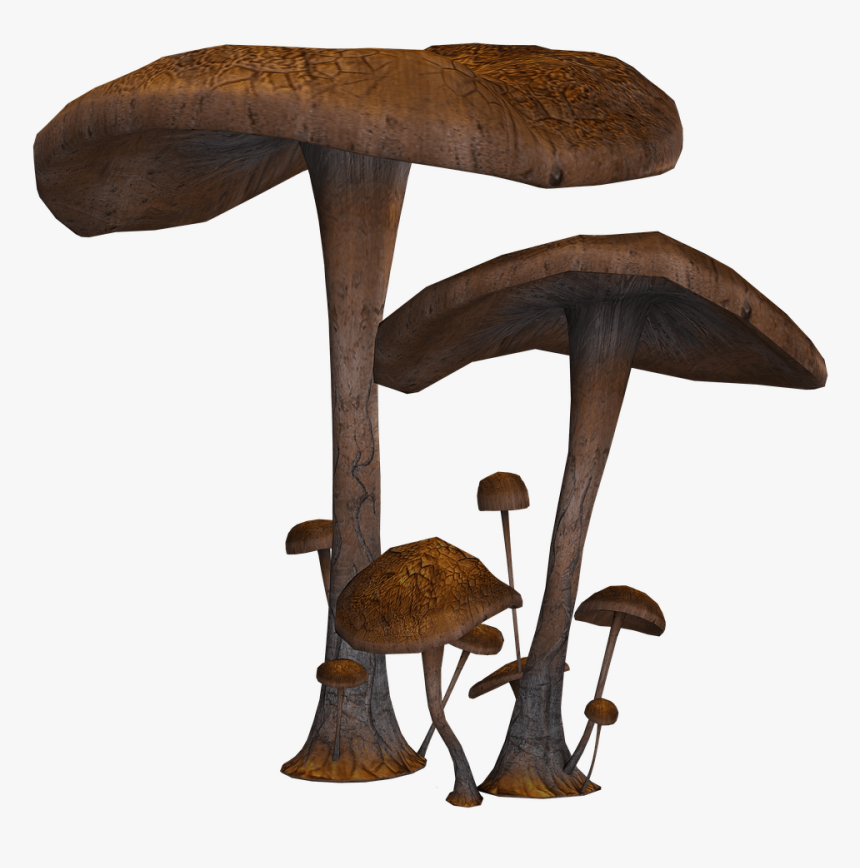 Mushrooms Large And Small - Fantasy Mushrooms Png, Transparent Png
