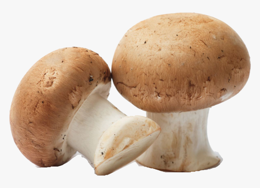 Mushroom Png Free Pic - Mushroom Png, Transparent Png