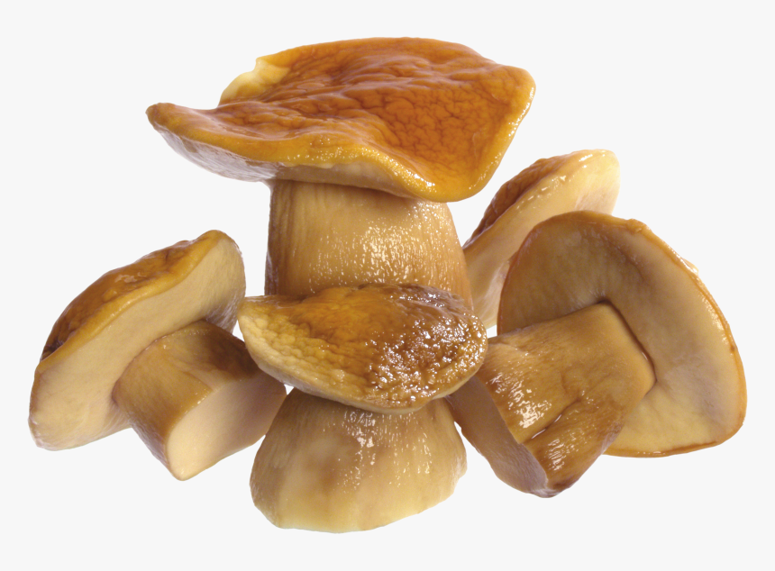Mushroom Png Image, Transparent Png