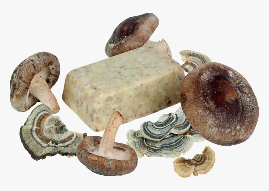 Mushroom Soap 

 
 Data Rimg Lazy 
 Data Rimg Scale - Eumenidae, HD Png Download