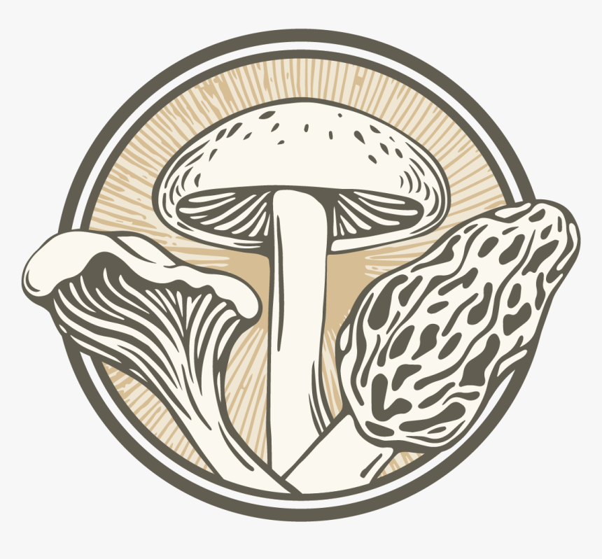 Shiitake, HD Png Download