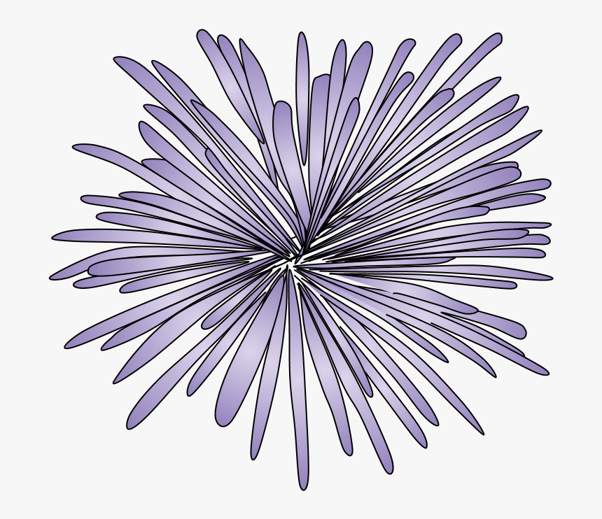 Fireworks, Burst, Style 2, Purple - Drawing, HD Png Download