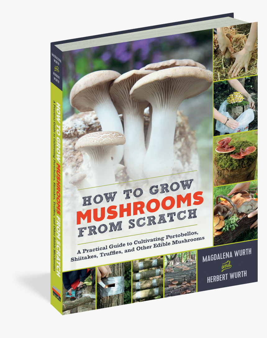 Cover - Bolete, HD Png Download