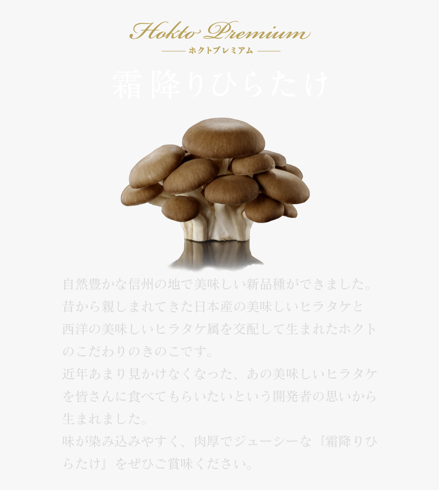 Hokuto Premium Shimofuri Hiratake - Shiitake, HD Png Download