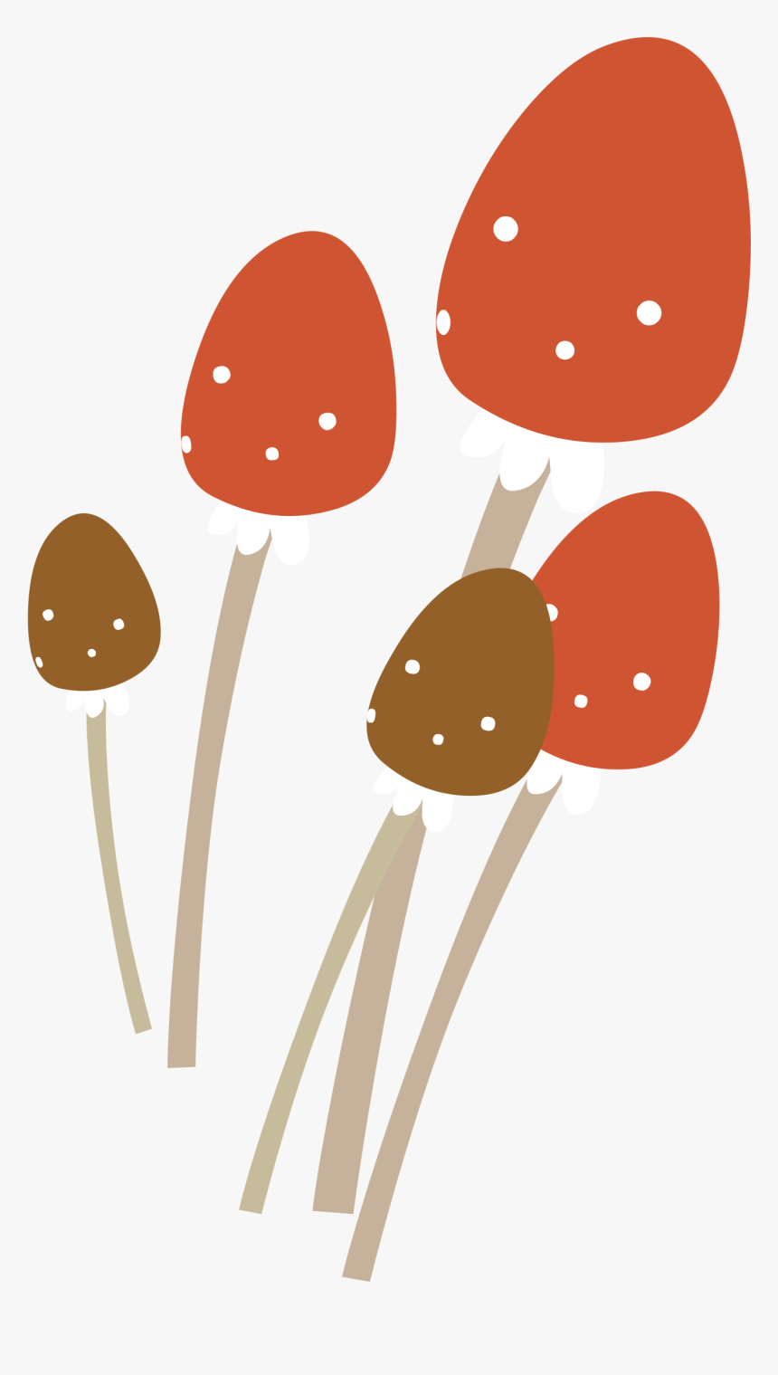 Firebog Mushrooms Clip Arts - Mushroom, HD Png Download