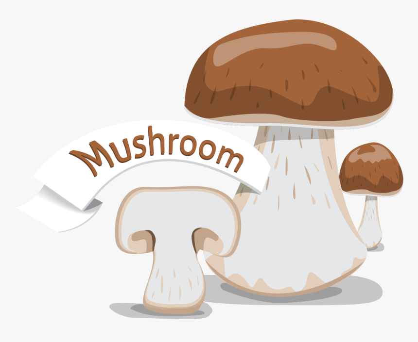 Shiitake, HD Png Download