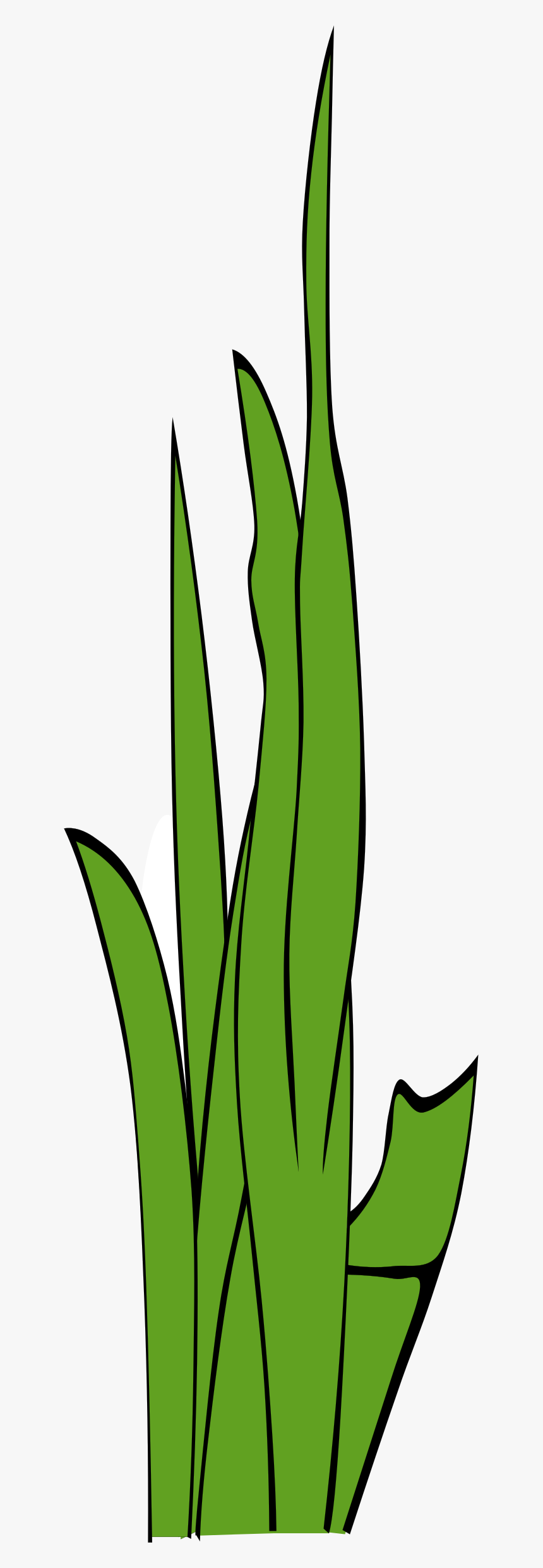 Grass Blades And Clumps 3 Clip Arts - Clip Art, HD Png Download