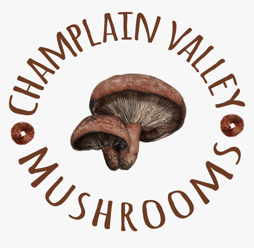 Russula Integra, HD Png Download