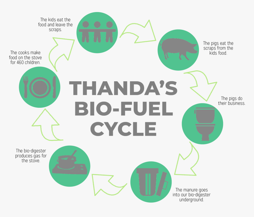 Circle, HD Png Download