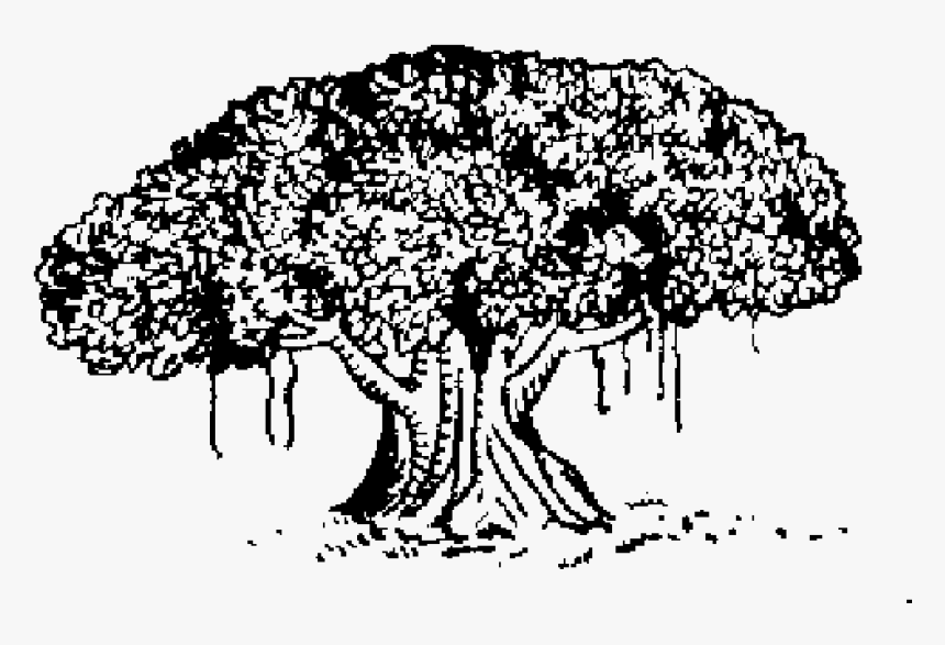 Samajwadi Janata Party Symbol, HD Png Download