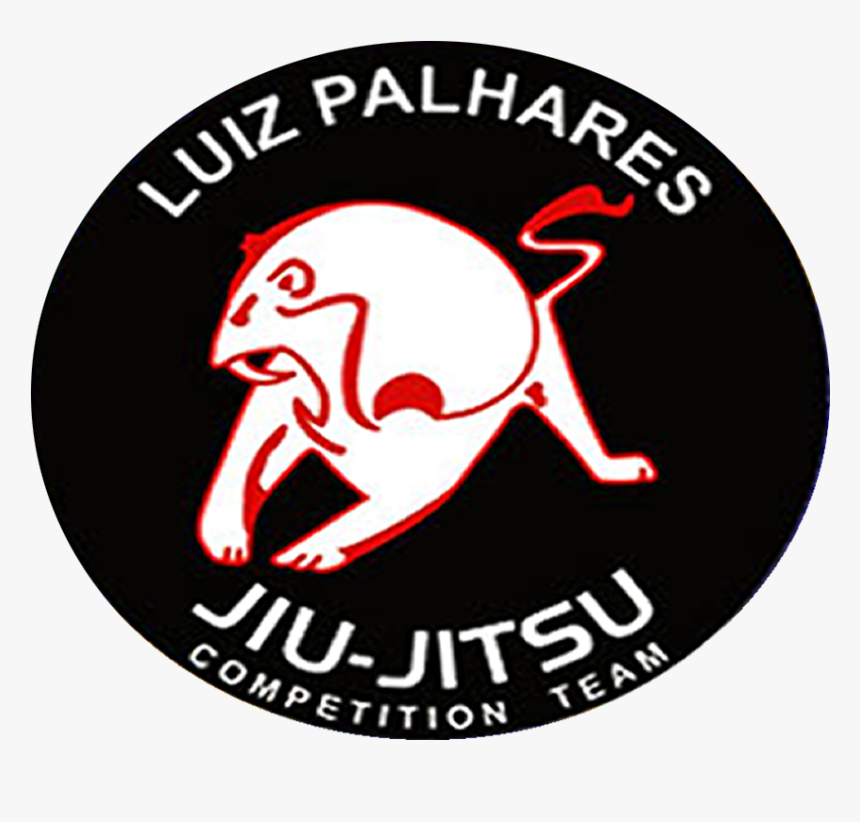 Luiz Palhares, HD Png Download