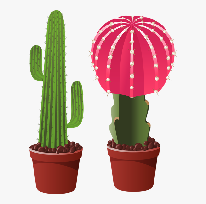 0 Home Clipart, Garden Clipart, Clipart Images, Cactus - Cactus Flowets Png, Transparent Png