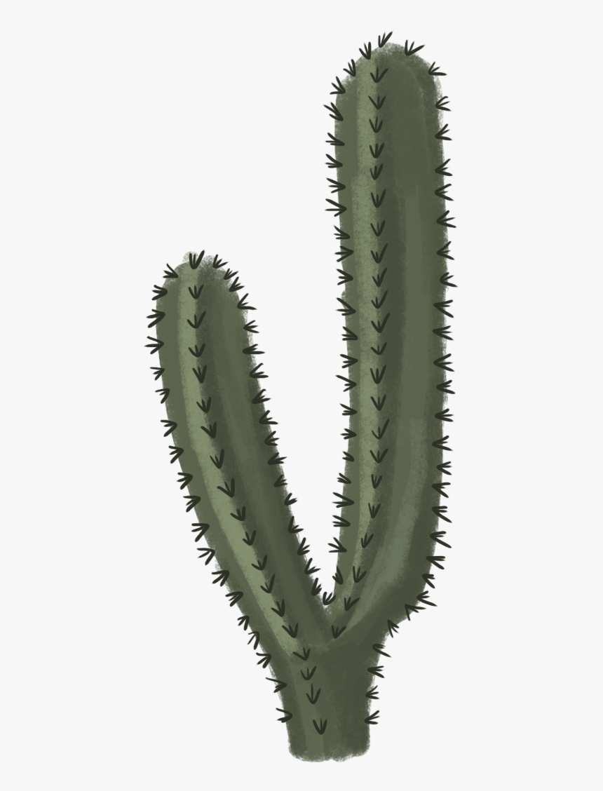 Cactus Png File - Transparent Background Cactus Png, Png Download