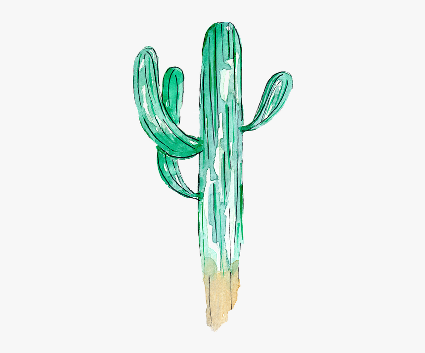 Saguaro Cacti, Cactus, Watercolor, Plant, Succulents - Watercolor Painting, HD Png Download