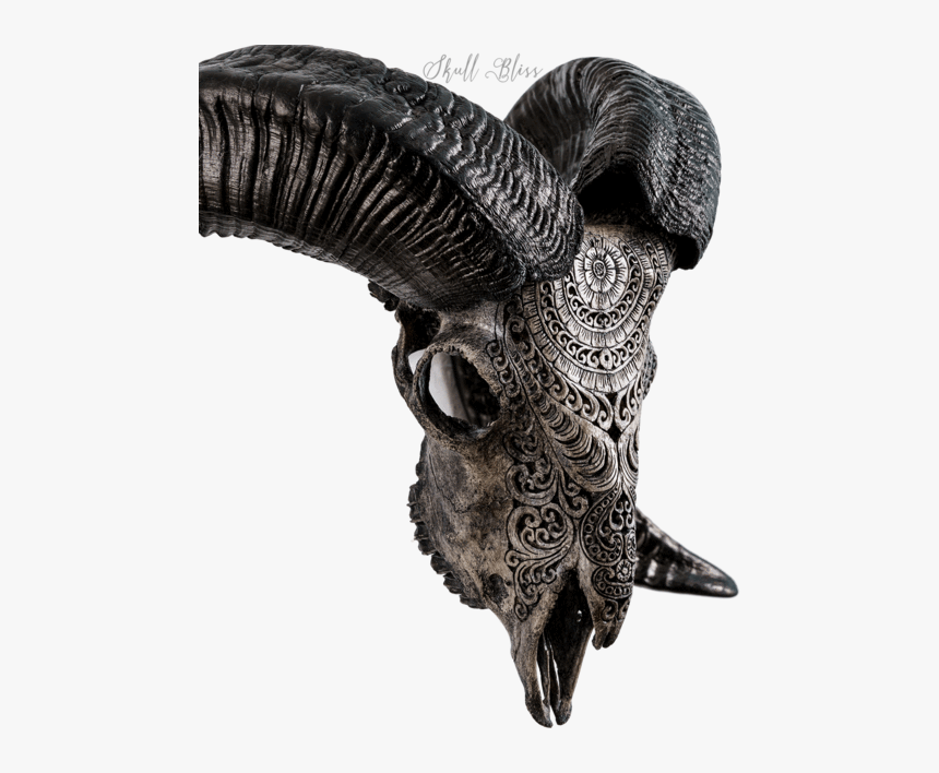 Carved Ram Skull - Bat, HD Png Download
