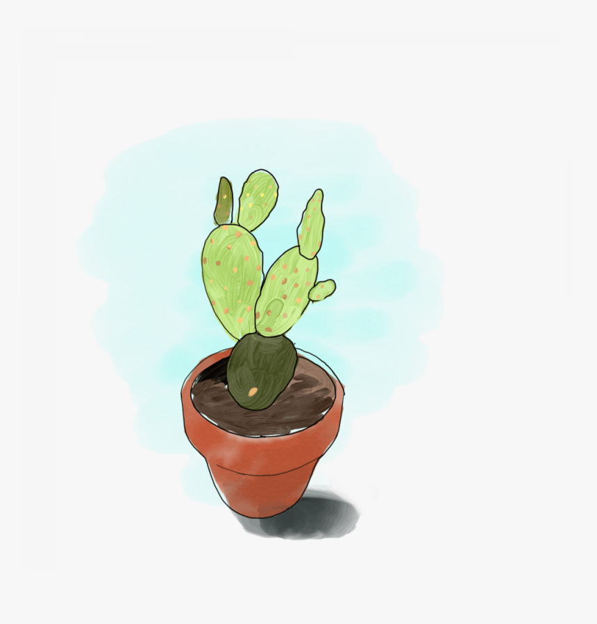 Flowerpot, HD Png Download