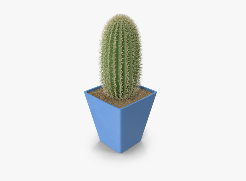 Saguaro Cactus Png Photo - Cactus .png, Transparent Png