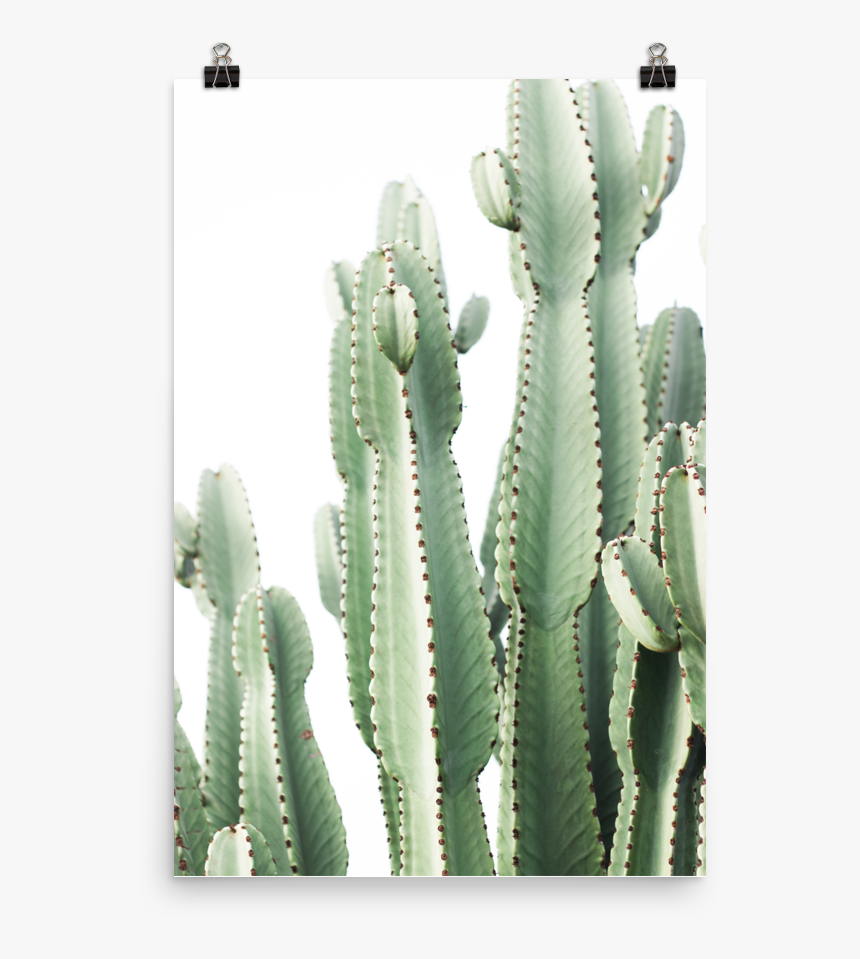 Transparent Pastel Goth Png - Cactus, Png Download