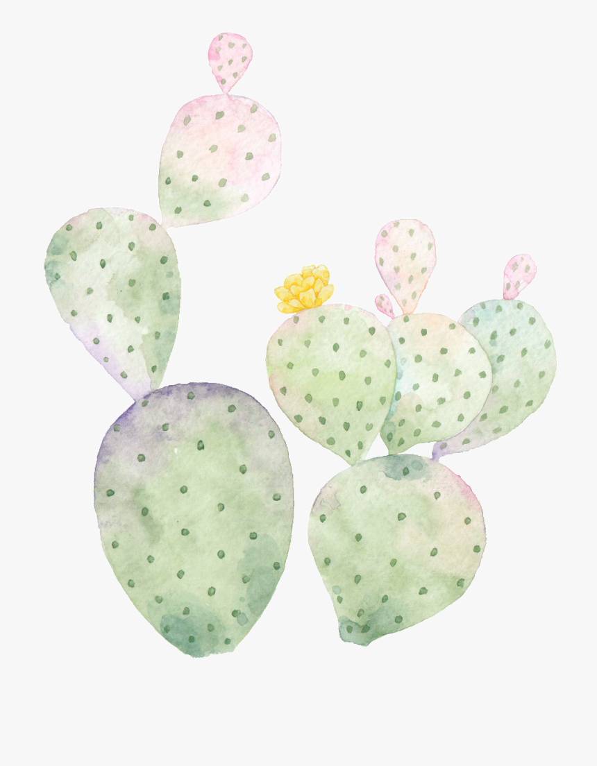 Hand Painted Cactus Png Transparent - Barbary Fig, Png Download