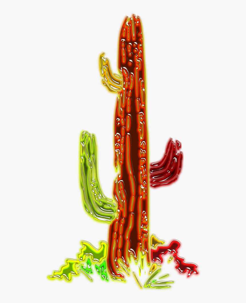 Cactus, HD Png Download
