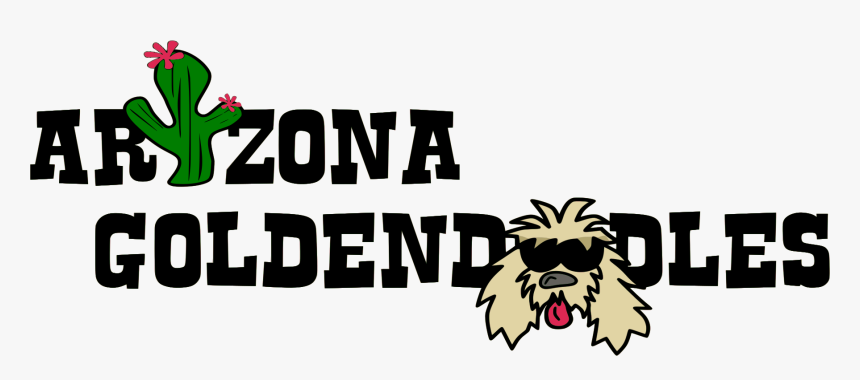 Breeder Of Top Quality Goldendoodles - Shih Tzu, HD Png Download