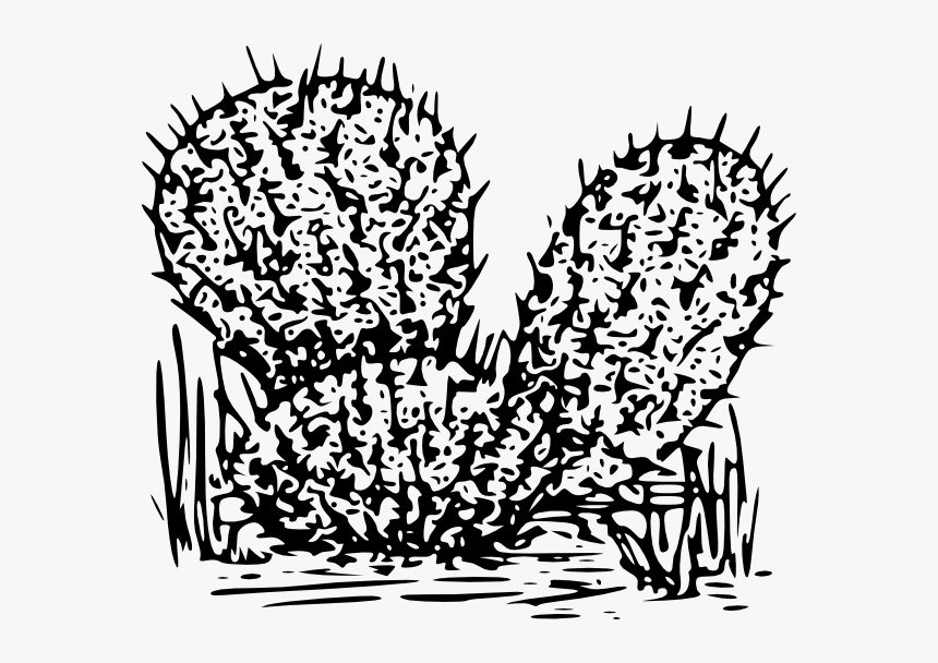 Cactus.png, Transparent Png