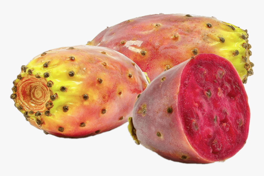 Prickly Pear Cactus Fruit - Morocco Prickly Pear Oil, HD Png Download