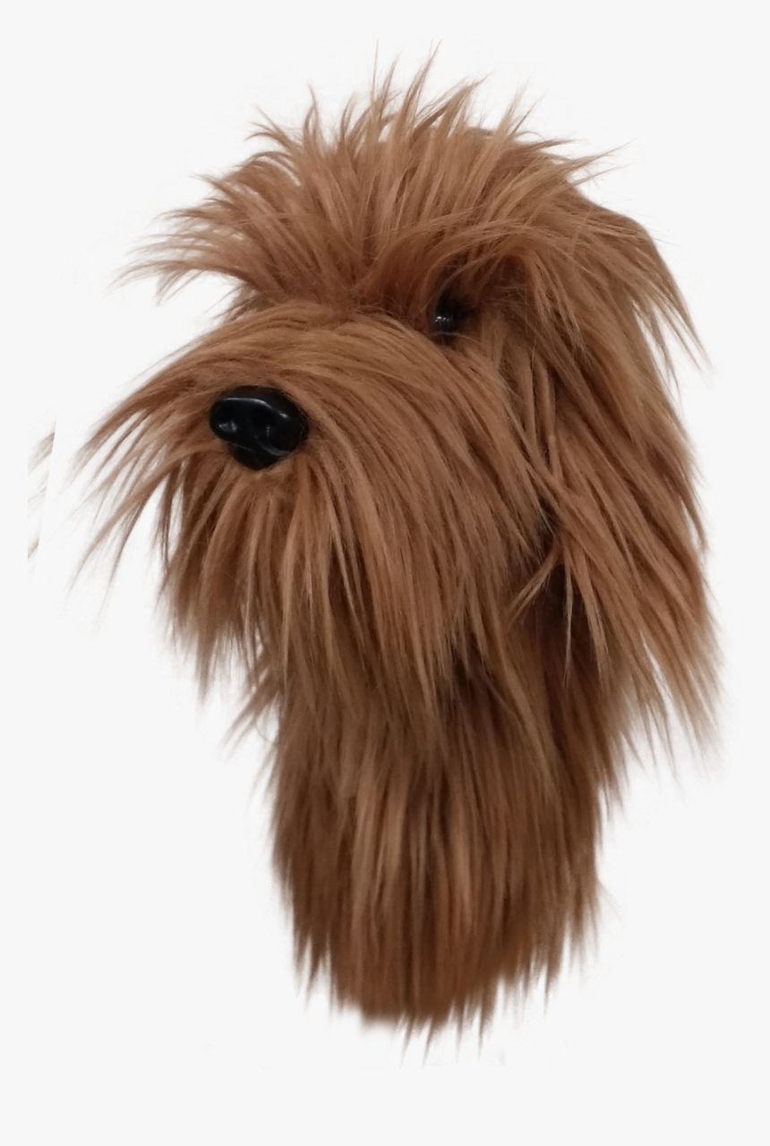 Daphne S Headcovers - Labradoodle, HD Png Download