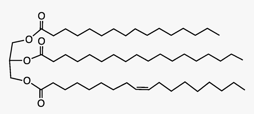 File - Cocoabuttriglyc - Glyceryl Trilinoleate, HD Png Download