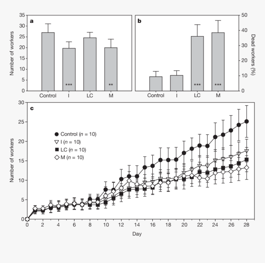 Diagram, HD Png Download