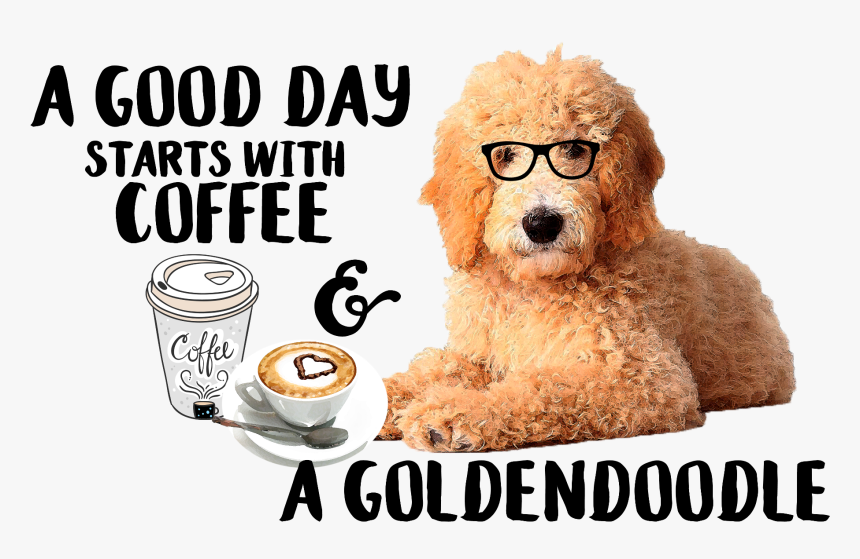 Poodle, HD Png Download