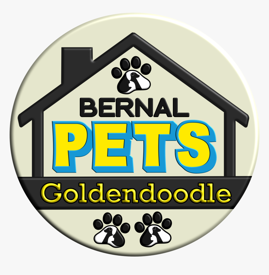 Bernal Golden Doodle - Circle, HD Png Download