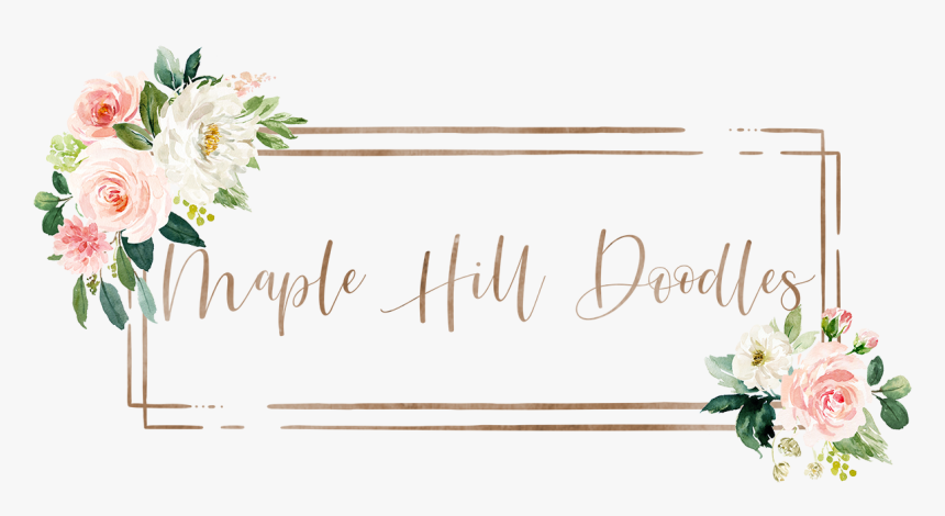 Logo, HD Png Download