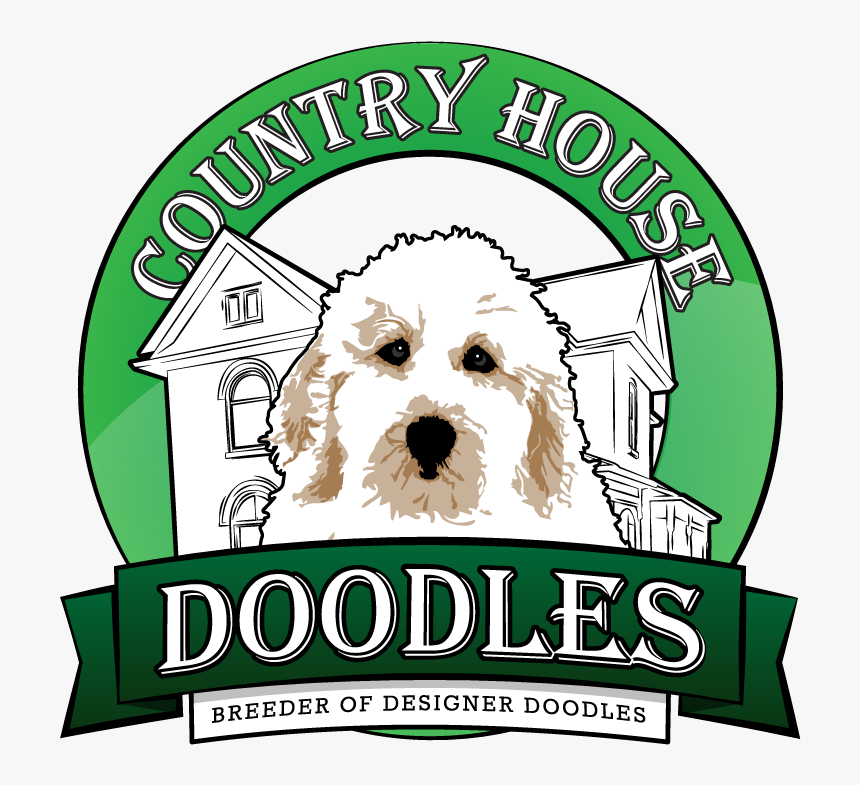 Transparent Golden Doodle Png - Shih-poo, Png Download